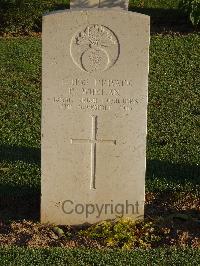 Salonika (Lembet Road) Military Cemetery - Whelan, P